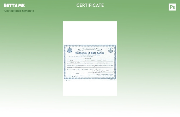 Модерен стил САД сертификација на шаблон за раѓање во странство