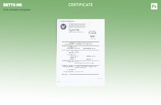 Модерен стил САД copywrite сертификат за регистрација PSD шаблон примерок