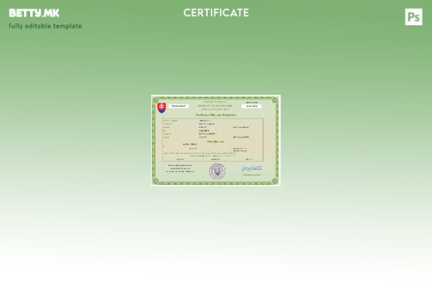 Модерен стил Словачка венчаница Шаблон за Word и PDF