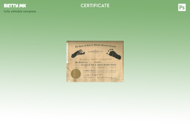 Модерен стил Соединетите Американски Држави Шаблон за извод од матична книга на