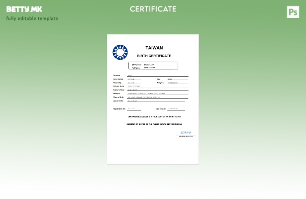 Модерен стил Тајвански извод од матична книга на родените во шаблон Word и PDF ф