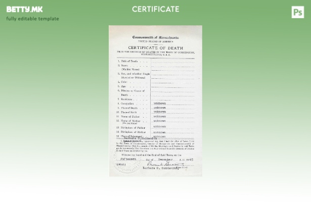 Модерен стил УСД за шаблон за сертификат за смрт од Комонвелтот Масачусетс