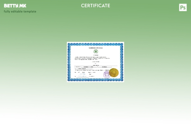 Модерен стил Уверение за брак на Коморите Шаблон за шаблон Word и PDF