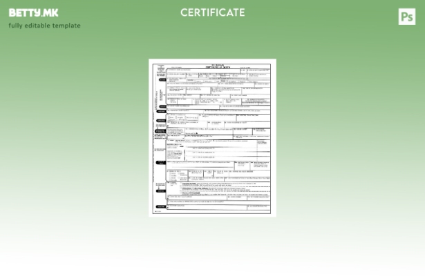 Модерен стил Успех на уверение за смртен регистар на САД