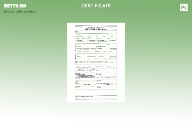 Модерен стил Филипински шаблон за потврда за живо раѓање