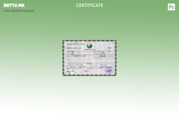 Модерен стил Шаблон за ПСД извод од матична книга на родени Лаос