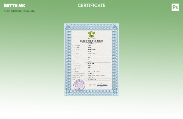 Модерен стил Шаблон за ПСД извод од матична книга на родените во Брегот на Слоно