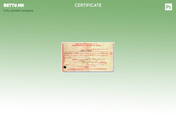 Модерен стил Шаблон за извод од матична книга на родените во Англија, Секретарот