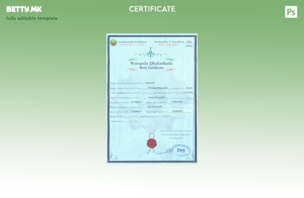 Модерен стил Шаблон за извод од матична книга на родените во Сомалија во шаблон