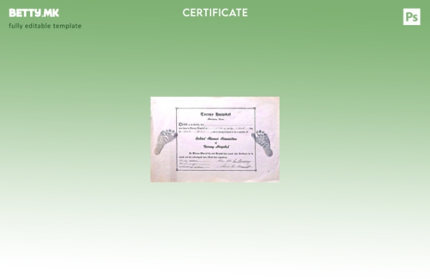 Модерен стил Шаблон за извод од матична книга на родените во болницата Масачус