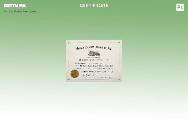 Модерен стил Шаблон за извод од матична книга на родените во болницата во Санта