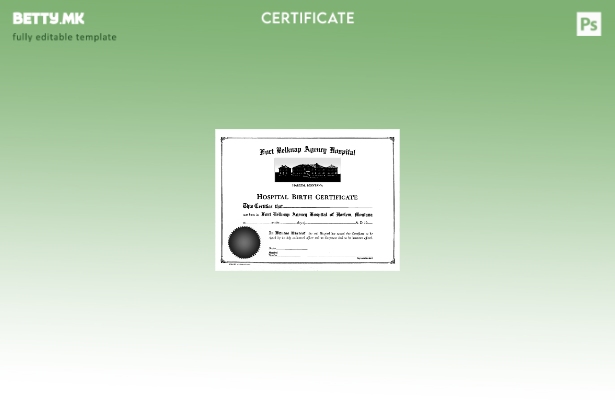 Модерен стил Шаблон за извод од матична книга на родените во болницата на агенци