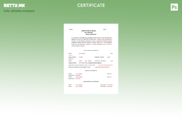 Модерен стил Шаблон за извод од матична книга на родените во граѓанскиот региста