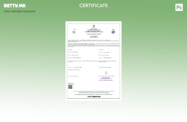 Модерен стил Шаблон за извод од матична книга на родените на Владата на Индија