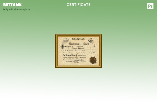 Модерен стил Шаблон за извод од матичната книга на родените во болница за породи