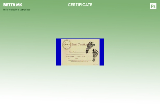 Модерен стил Шаблон за извод од матичната книга на родените во болницата Мерси в