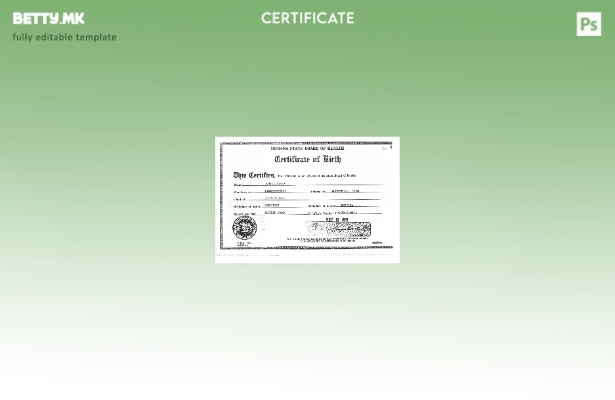 Модерен стил Шаблон за извод од матичната книга на родените од Државниот одбор з