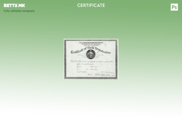 Модерен стил Шаблон за извод од матичната книга на родените од Одделот за здравс