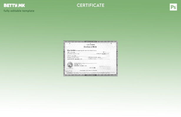 Модерен стил Шаблон за извод од матичната книга на родените од Стејт департменто