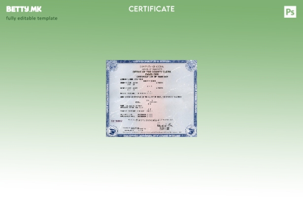 Модерен стил Шаблон за потврда за брак од државата Илиноис во САД во шаблон за ф