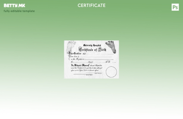 Модерен стил Шаблон за потврда за раѓање на САД