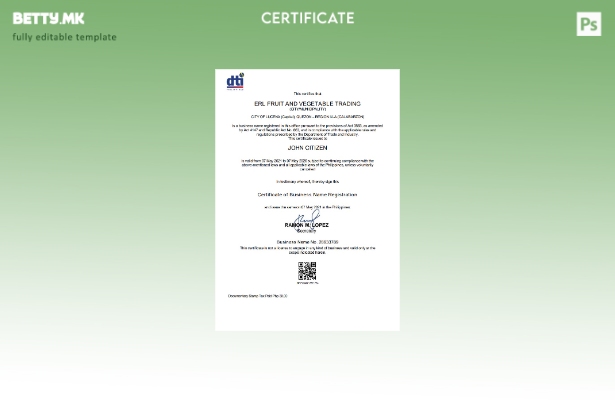 Модерен стил Шаблон за приватен претприемач на Филипините, Одделот за трговија и