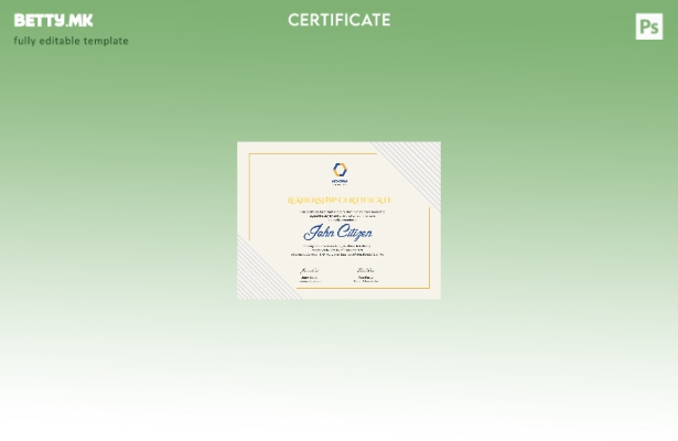 Модерен стил Шаблон за сертификат за лидерство на САД