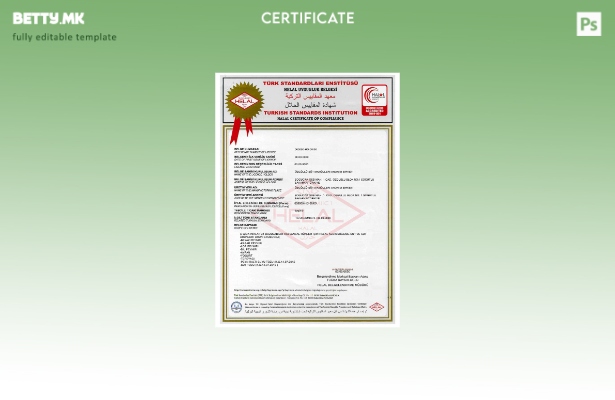 Модерен стил Шаблон за сертификат за турската институција за стандарди