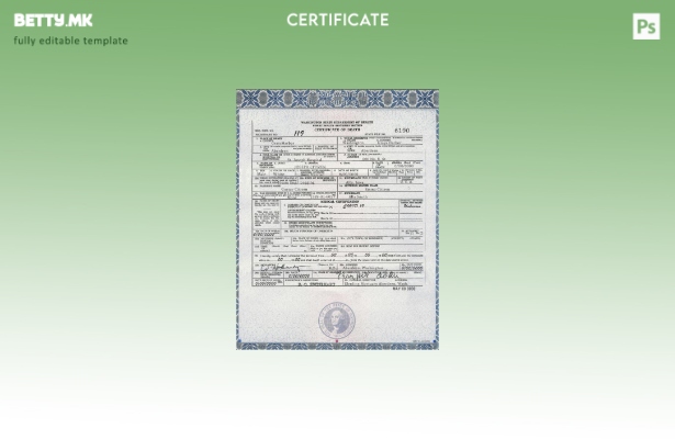 Модерен стил Шаблон за уверение за смрт од државата Вашингтон во шаблон PSD форм