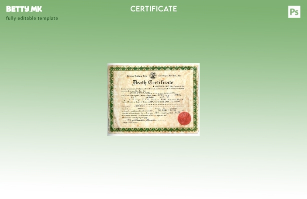 Модерен стил Шаблон за уверение за смрт од округот Бристол во Англија