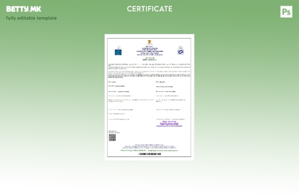 Модерен стил Шаблон на извод од матичната книга на родените на Владата на Индија