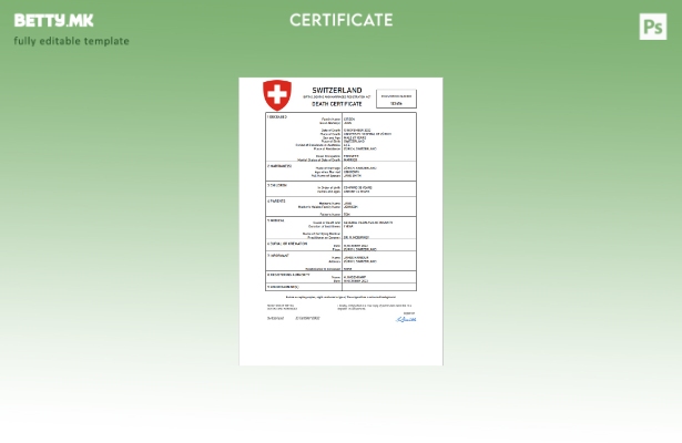 Модерен стил Швајцарија витален рекорд за смртен шаблон Word и PDF шаблон