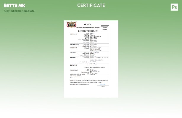 Модерен стил во Јемен, шаблон за шаблон Word и PDF