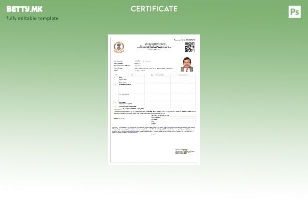 Модерен стил во Индија Пенџаб шаблон за брачен матичар