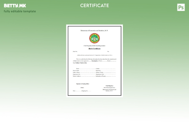 Модерен стил во Индија Шаблон за извод од матична книга на родените за регистрац