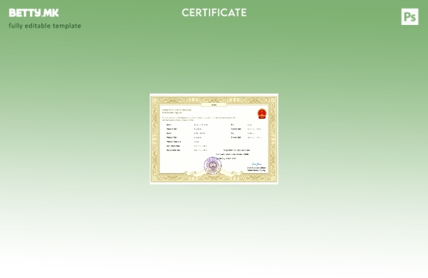 Модерен стил во Кина, шаблон за шаблон Word и PDF