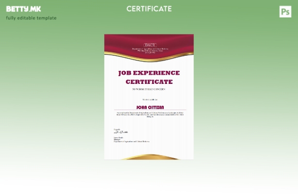 Модерен стил во САД Шаблон за сертификат за работно искуство