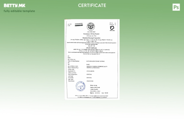 Модерен стил индиската влада на Утар Прадеш шаблон за Австралија за смрт