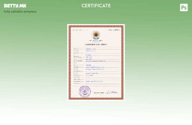 Модерен стил на Јужна Кореја, шаблон за шаблон за PSD сертификат за смрт од вита