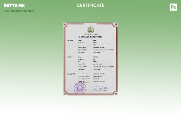Модерен стил на Џибути шаблон за PSD шаблон за документи за брак