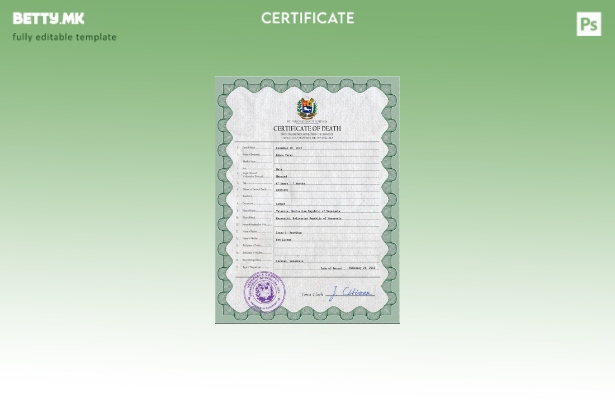 Модерен стил на Венецуела, шаблон за шаблон за PSD сертификат за смртен рекорд