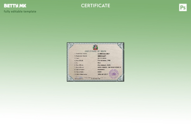 Модерен стил на Доминиканската Република, шаблон за PSD сертификат за смрт од ви