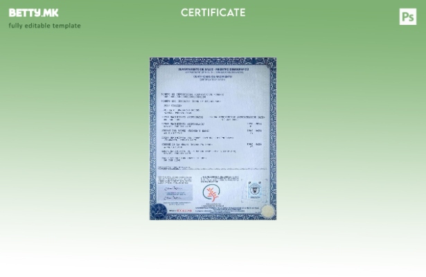 Модерен стил на Порторико шаблон за потврда за раѓање