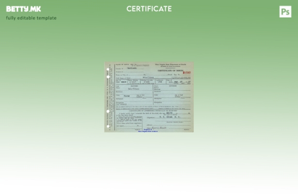 Модерен стил на САД Западна Вирџинија шаблон извод од матична книга на родени од