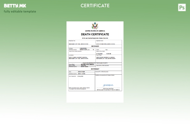 Модерен стил на САД од витално значење за умрениот шаблон Word и PDF шаблон