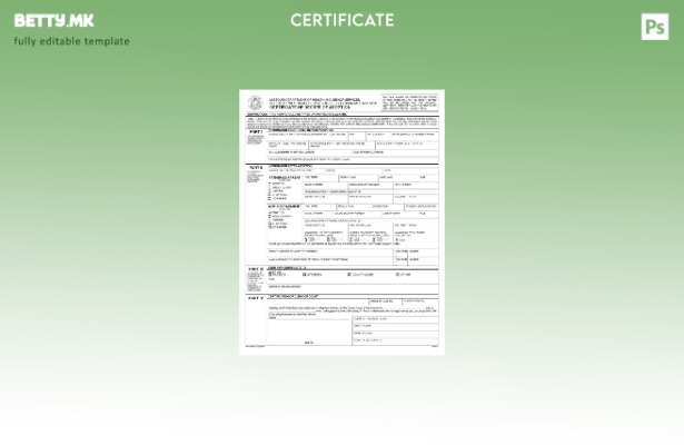 Модерен стил на САД, Мисури, шаблон за сертификат за посвојување на Министерство