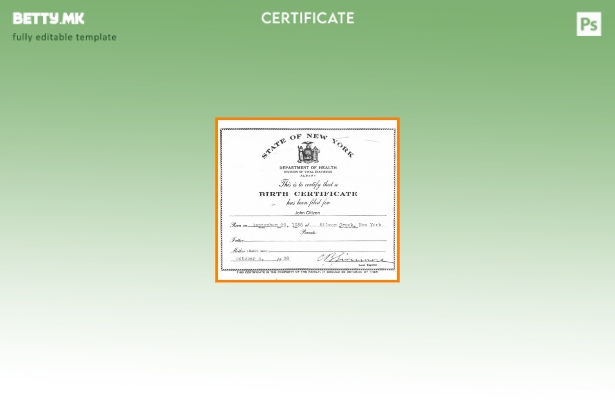 Модерен стил на САД, шаблон за потврда за раѓање на Министерството за здравство