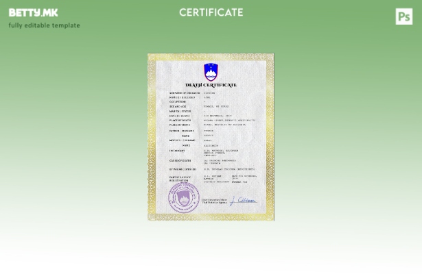 Модерен стил на Словенија, шаблон за ПСД од потврда за смрт