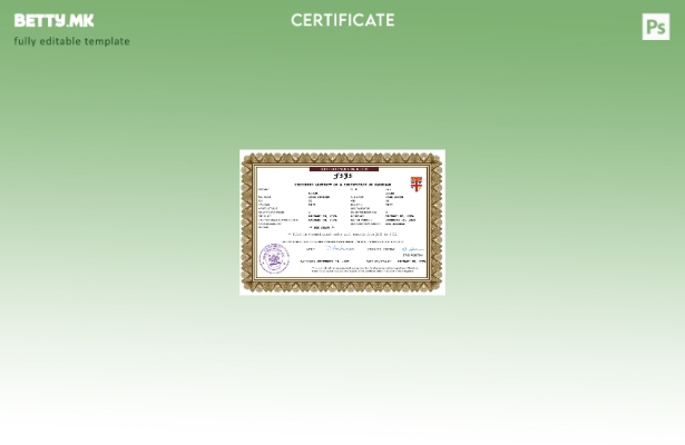 Модерен стил на Фиџи шаблон за шаблон Word и PDF
