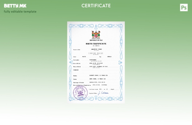 Модерен стил на Фиџи, шаблон за ПСД, шаблон за извод од матична книга на роденит